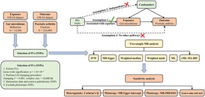 Genetic causal relationship between gut microbiome and psoriatic arthritis: a bidirectional two-sample Mendelian randomization study